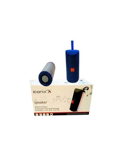 SPEAKER ICONIX 1318